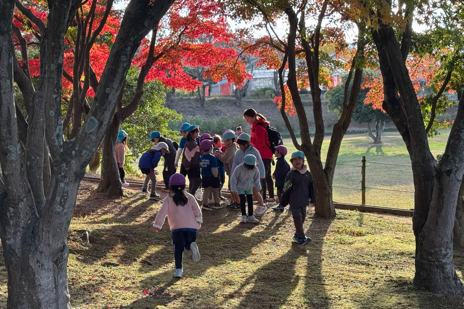 幼児体操教室